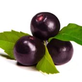 Estudio genómico del Maqui Berry
