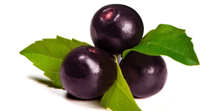 Estudio genómico del Maqui Berry