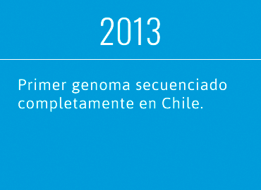 2013 2013